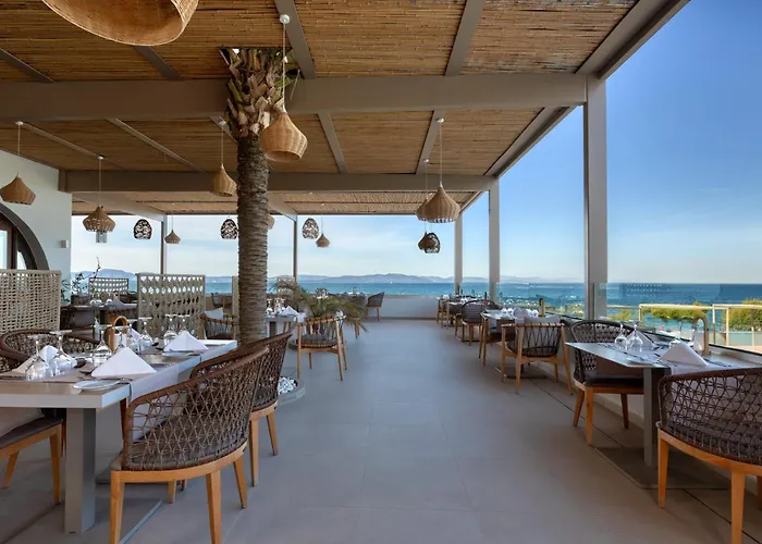 Oceanis & 帕萨里迪