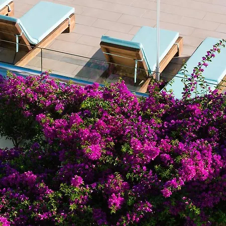 Hotel Oceanis & Psalidi (Kos)